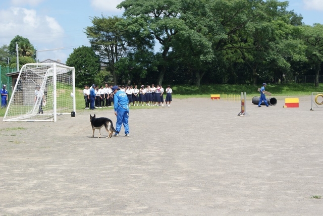 キジマ警察犬訓練所　鬼島　三郎様